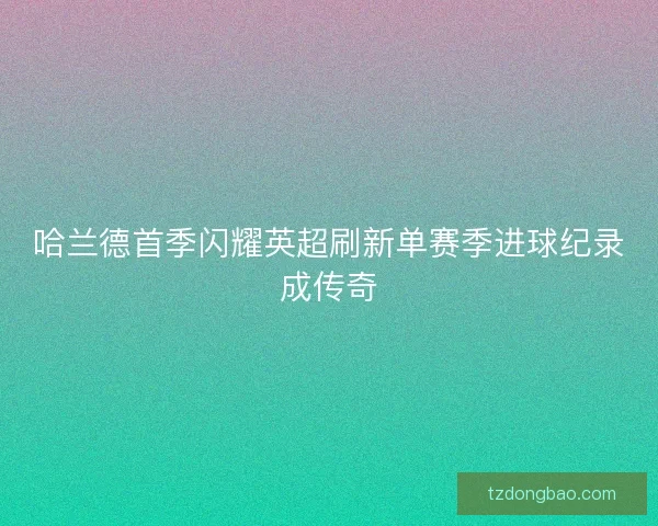 哈兰德首季闪耀英超刷新单赛季进球纪录成传奇
